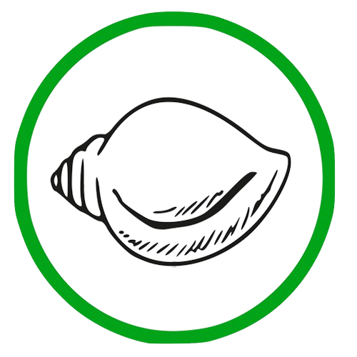 alians logo