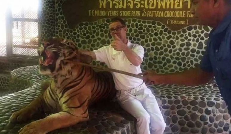 फोटो के चक्कर मे शेरों पर अत्याचार