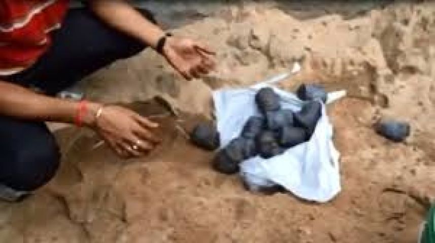 Crude bombs held from a house in WB