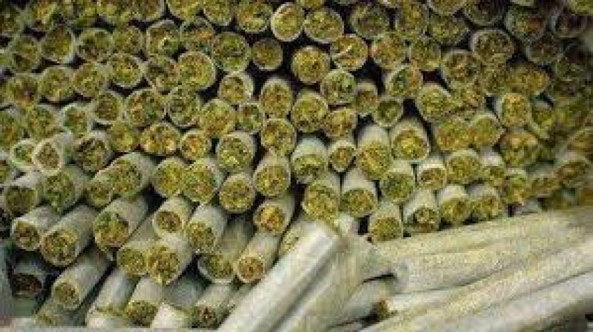 Ganja worth Rs. 75 lakh seized from river bed
