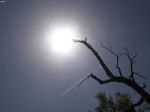 Be prepared for burning summer this year said Meteorological Department