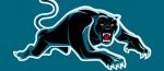 Panther attacked minor to death in Jaipur