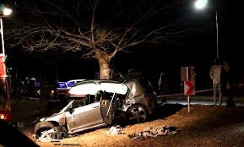 3 member of a family died when car collides with tree
