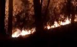 Rescue operation on going in Uttarakhand Forest Fires