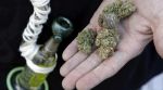 25 kg of cannabis seized in Tamil Nadu