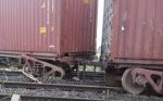 Palghar;Goods train derails