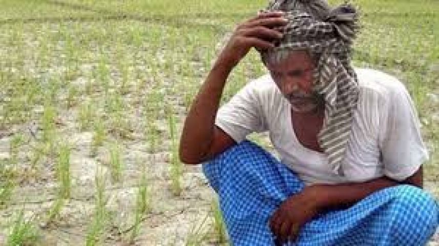 Farmer's family received the compensation of Rs-2 lakh after a year