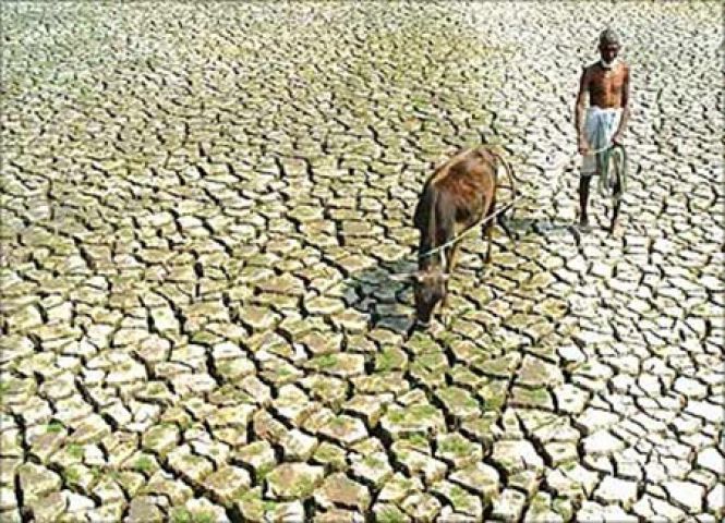 Additional Funds For Drought  Affected Areas
