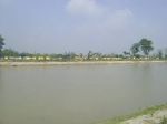 Sitapur: Swimming mishap,three teenagers drown