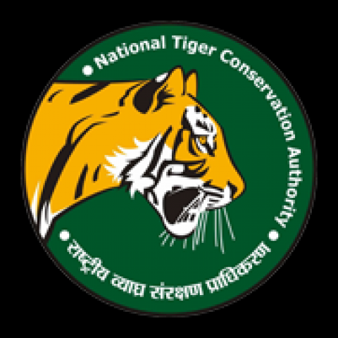 In last three years 82 incident of tiger attacking human reported