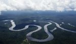 Scientists have discovered a new reef system at the mouth of the Amazon River
