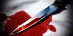 Austria: knife attack on train injured 2