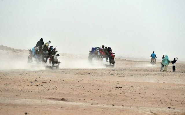 Niger desert:34 migrants found dead
