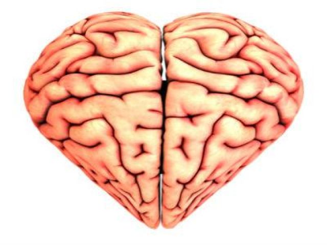 New study found:Wisdom is a matter of both heart and mind