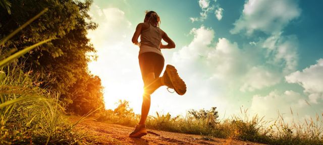 Runners and Musicians have active connectivity to the brain