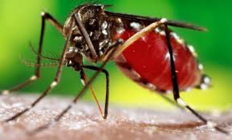 Authorities screening passengers across major Indian airports for Zika Virus!