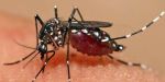 Mumbai recorded 91 dengue cases within 3 days