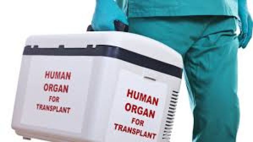 Organ Transplant, 26 year old brain dead saves life of three