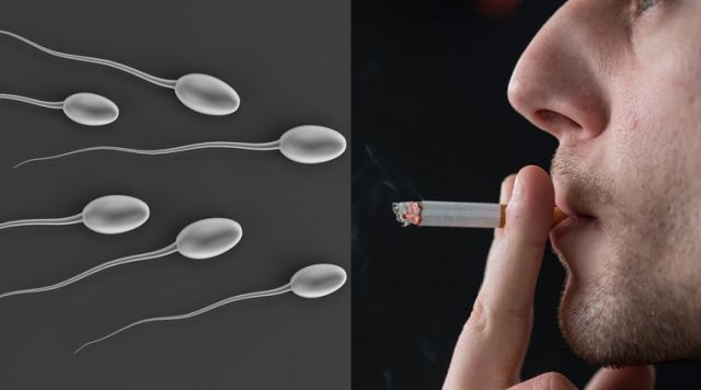 Smoking put your Sperm at risk of DNA Damage!