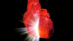 ‘Virtual Heart to’ model heart Failure Developed