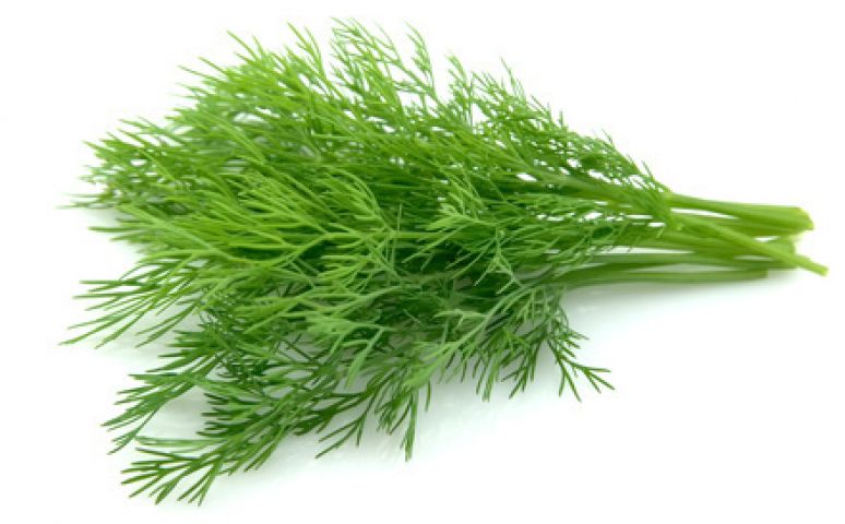 Parsley and Dill Benefit: To prevent Cancer Quickly!