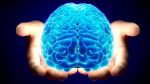 New Study says brain injury ups cognitive impairment risk!