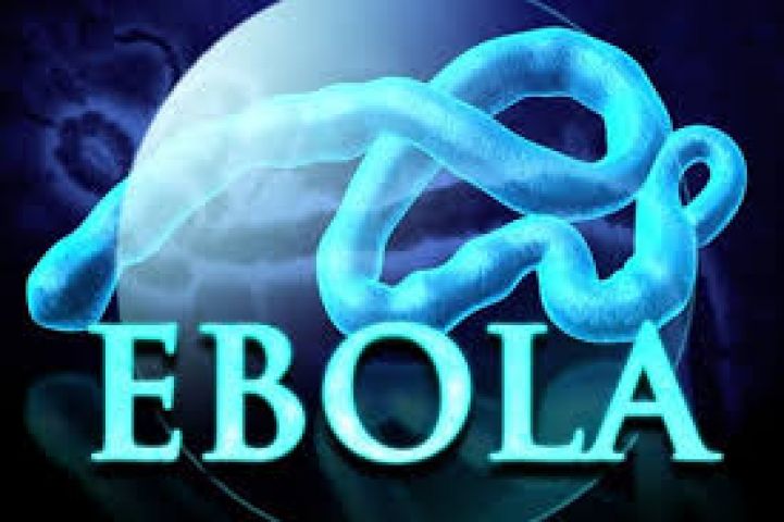 England:New form of Ebola virus may root disease in humans