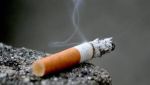 FAIFA:Tobacco ryots follow cap on health warning