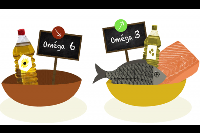 Balance the amount of 'Omega-6' and 'Omega-3' to fight obesity!