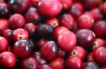 Do you know that 'Cranberry' protects your body from the harmful bacteria ?