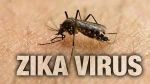 Zika virus: 13 Indian nationals have tested positive for virus in Singapore