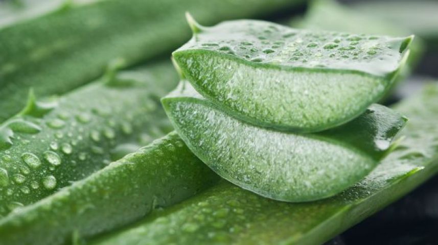 AMAZING REMEDIES : HOW TO MAKE ALOE VERA FACE PACK AT HOME ?