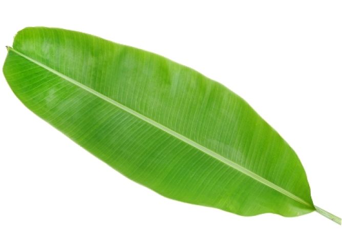 Eating on a Banana leaf has great benefits!!!