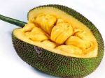 Unknown Benefits of Jackfruit!!!
