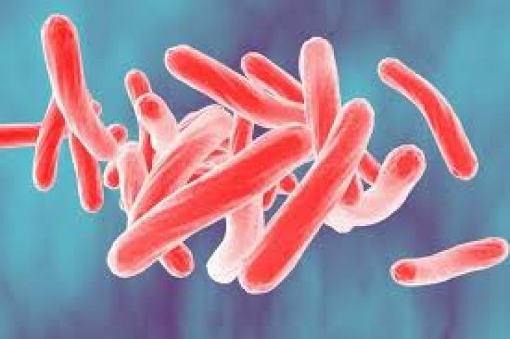 Knowing and Treating Tuberculosis!!!