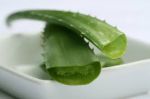 How to keep yourself fit with Aloe Vera?