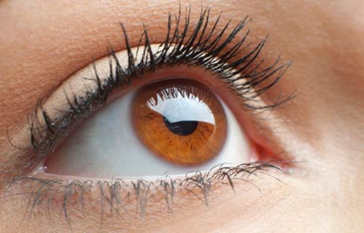 5 Foods for 'Healthy Eyes'