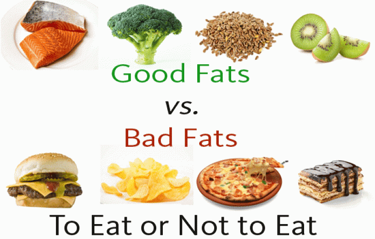 What are Good fats and Bad fats?