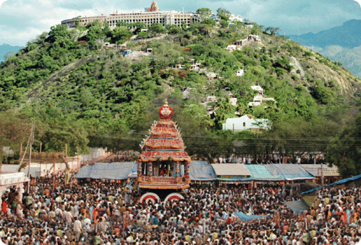 Palani temple's total ollection is nets Rs 2.64 crore in hundials