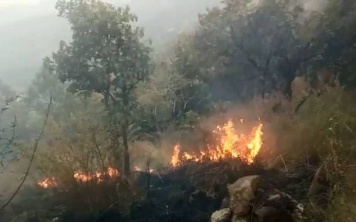 म.प्र के हाेशंगाबाद के में खेतों में लगी अचानक आग, कई गावों में फैली