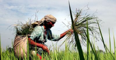 राजकोट लोकसभा सीट: भाजपा के गढ़ में किसान हैं मुख्य मुद्दा, क्या होगा इस बार ?