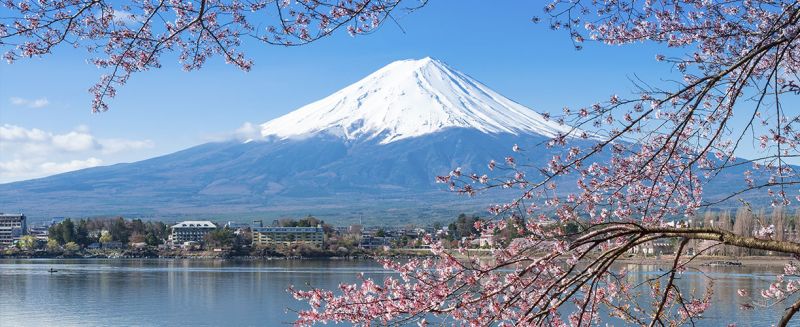 सरकारी स्कूल के तीन छात्रों को मिला जापान जाने का अवसर