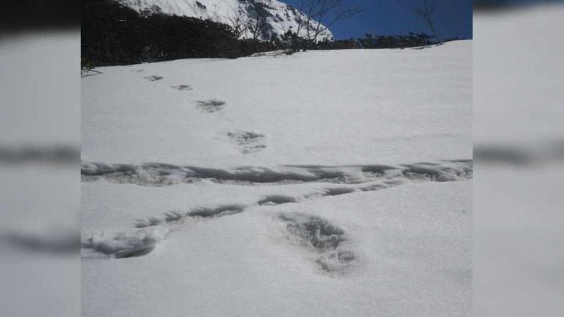 आज भी जीवित हैं विशालकाय हिममानव, भारतीय सेना ने देखे पैरों के निशान