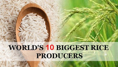 Top 10 Rice producers in World