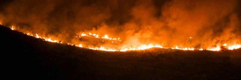 मुंबई: गोरेगांव के पास जंगल में लगी अचानक आग