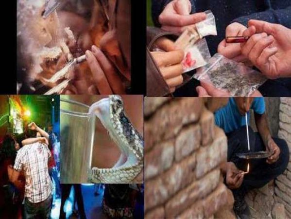बिहार में लोग क्यों पी रहे सांप का जहर