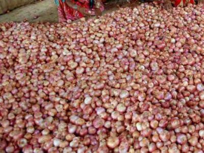 महाराष्ट्र में किसान को 2657 किलो प्याज बेचने पर हुई 6 रुपए की कमाई मुख्यमंत्री को भेजी