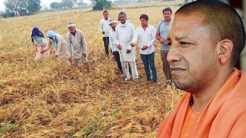 योगी आदित्यनाथ ने निकाला किसानों की समस्याओं का हल,  मीडिया से साझा की बातें