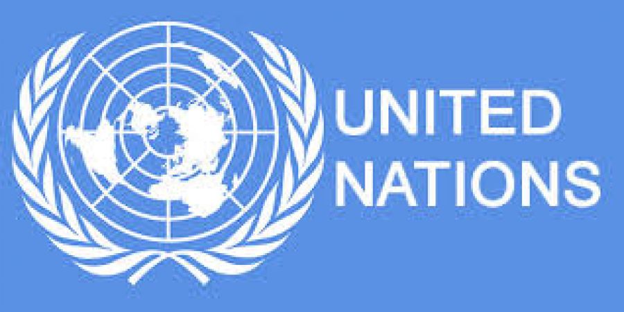 यूएन बाल कोष की कार्यकारी निदेशक नियुक्त हुईं हेनरिटा