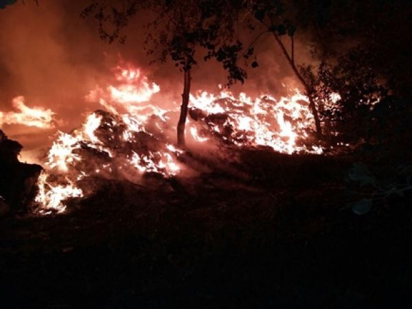 कारखाने में भीषण आग,17 दमकलों ने काबू पाया